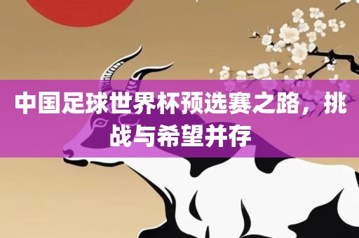 中国足球世界杯预选赛之路，挑战与希望并存
