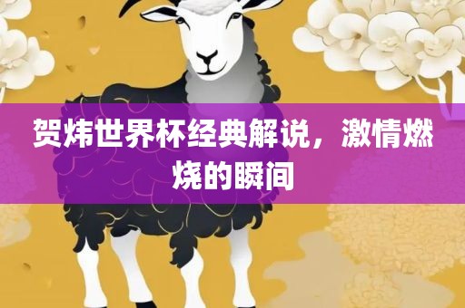 贺炜世界杯经典解说，激情燃烧的瞬间