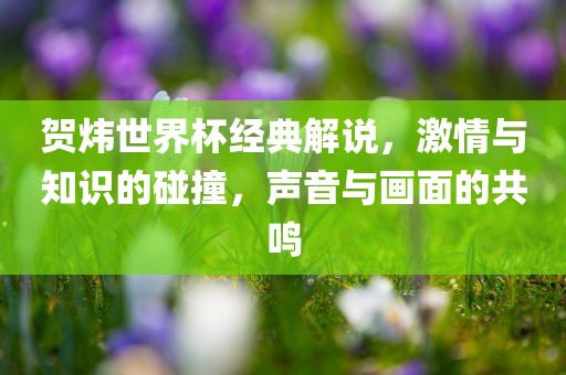 linjunyuan 第5页