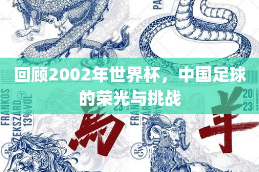 洛阳市法福文化传播有限公司回顾2002年世界杯，中国足球的荣光与挑战