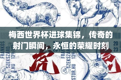 梅西世界杯进球