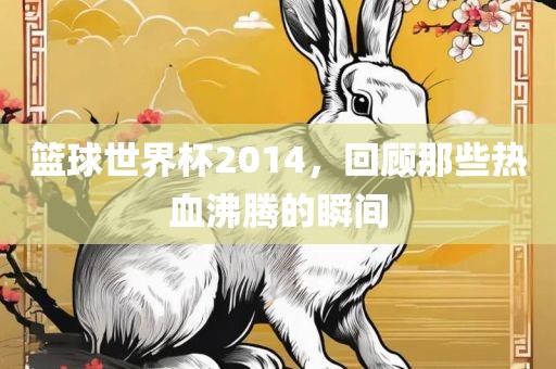 篮球世界杯2014，回顾那些热血沸腾洛阳市法福文化传播有限公司的瞬间