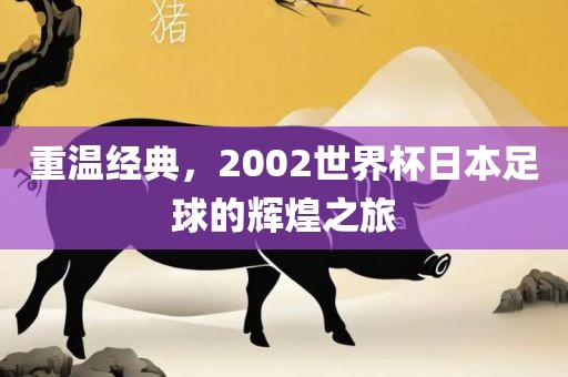 重温经典，2002世界杯日本足球的辉煌之旅洛阳市法福文化传播有限公司