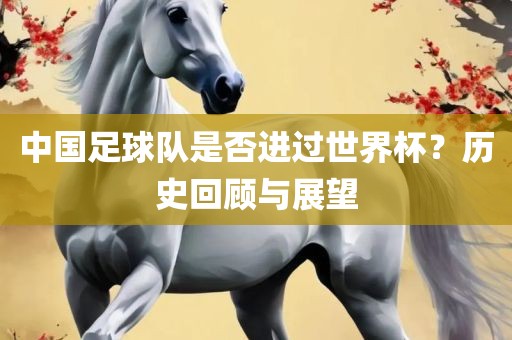 中国足球队是否进过世界杯？历史回顾与展望