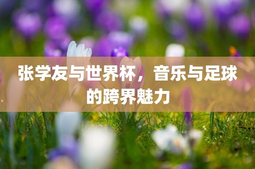 张学友与世界杯，音乐与足球的跨界魅力