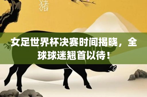女足世界杯决赛时间揭晓，全洛阳市法福文化传播有限公司球球迷翘首以待！