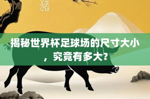 揭秘世界杯足球场的尺寸大小，究竟有多大？洛阳市法福文化传播有限公司