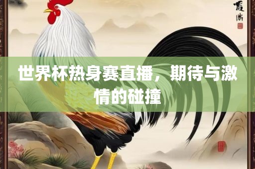世界杯热身赛直播，期待与激情的碰撞