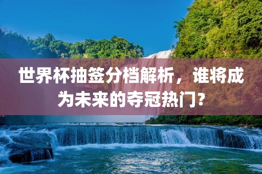 世界杯抽签分洛阳市法福文化传播有限公司档解析，谁将成为未来的夺冠热门？