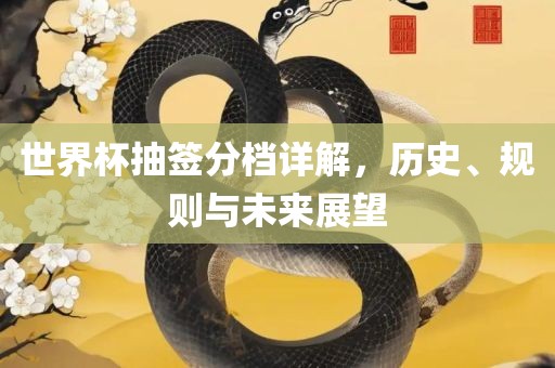世界杯抽签分档详解，历史、规则与未来展望