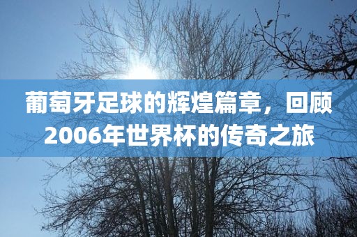 葡萄洛阳市法福文化传播有限公司牙足球的辉煌篇章，回顾2006年世界杯的传奇之旅