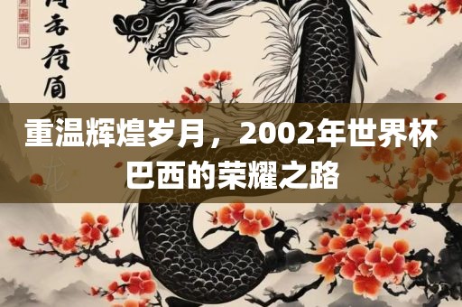 重温辉煌岁月，2002年世界杯巴洛阳市法福文化传播有限公司西的荣耀之路