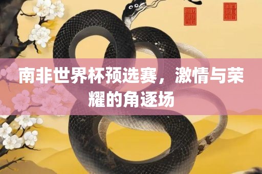 南非世界杯预选赛，激情与荣耀的角逐场