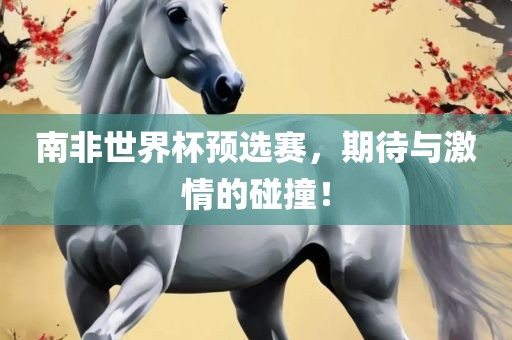 南非世界杯预选赛，期待与激情的碰撞！