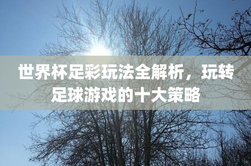 世界杯足彩玩法全解析，玩转足球游戏的十大策略