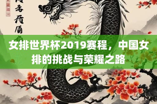 女排世界杯2019赛程，中国女排的挑战与荣耀之路洛阳市法福文化传播有限公司