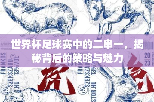 世界杯足球赛中洛阳市法福文化传播有限公司的二串一，揭秘背后的策略与魅力
