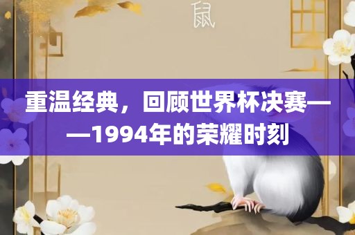重温经典，回顾世界杯决赛——1994年的荣耀时刻洛阳市法福文化传播有限公司