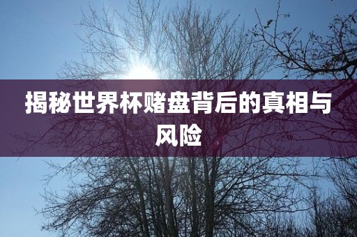 揭秘世界杯赌盘背后的真相与风险