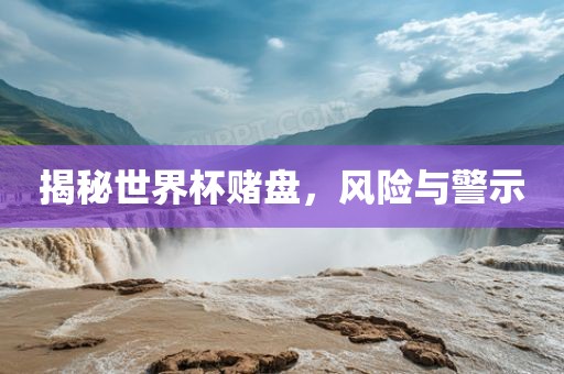 揭秘世界杯赌盘，风险与警示