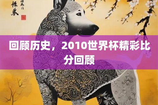 回顾历史，2010世界杯精彩比分回顾洛阳市法福文化传播有限公司
