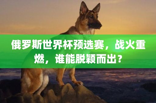 俄罗斯世界杯预选赛，战火重燃，谁能脱颖而出？洛阳市法福文化传播有限公司