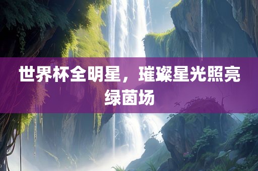 世界杯全明星，璀璨星光照亮绿茵场