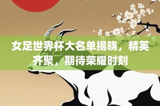 女足世界杯大名单揭晓，精英齐聚，期待荣耀时刻洛阳市法福文化传播有限公司