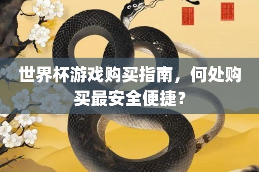 世界杯游戏购买指南，何处购买最安全便捷？
