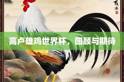 高卢雄鸡世界杯，回顾与期待