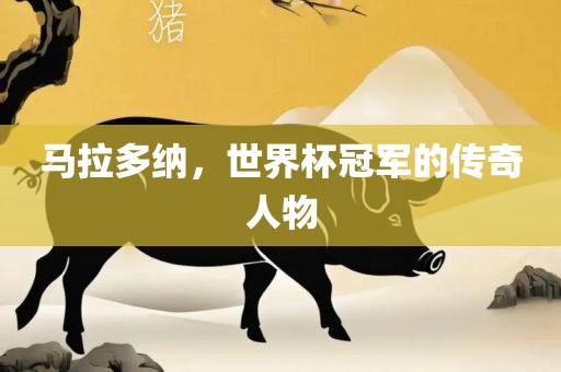 马拉多纳，世界杯冠军的传奇人物