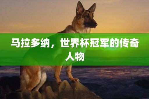 马拉多纳，世界杯冠军的传奇人物
