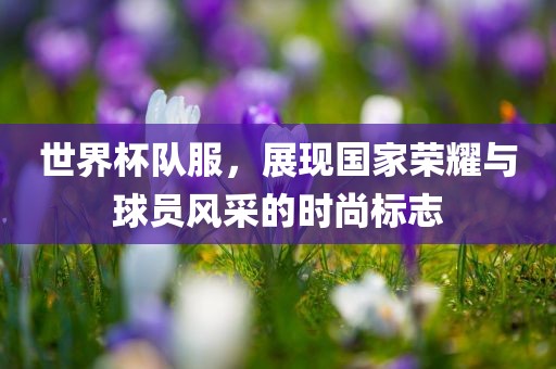 世界杯队服，展现国家荣耀与球员风采的时尚标志
