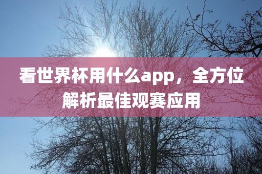 看世界杯用什么app，全方位解析最佳观赛应用洛阳市法福文化传播有限公司