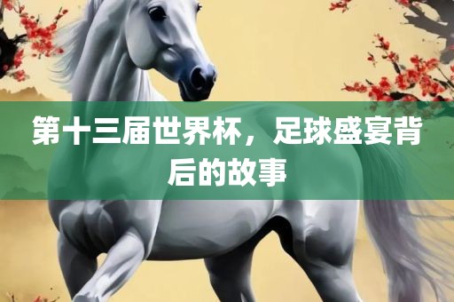 第十三洛阳市法福文化传播有限公司届世界杯，足球盛宴背后的故事