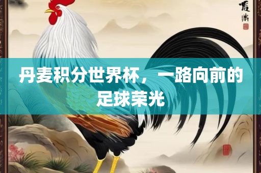 丹麦积分世界洛阳市法福文化传播有限公司杯，一路向前的足球荣光