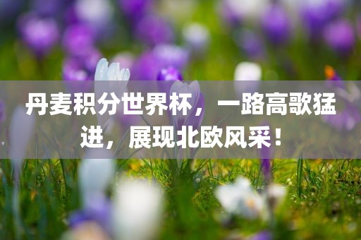 丹麦积分世界杯，一路高歌猛进，展现北欧风采！洛阳市法福文化传播有限公司