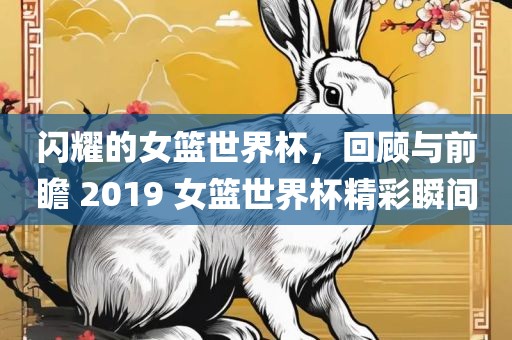 闪耀的女篮世界杯，回顾与前瞻 2019 女篮世界杯精彩瞬间