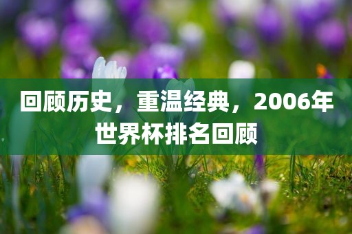 回顾历史，重温经典，2006年世界杯排名回顾