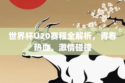 世界杯U20赛程全解析，青春热血，激情碰撞