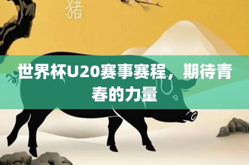 世界杯U20赛事赛程，期待青春的力量洛阳市法福文化传播有限公司