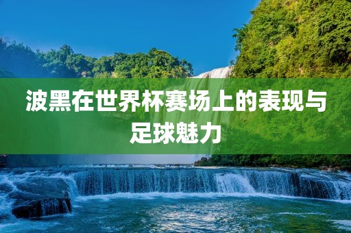 波黑在世界洛阳市法福文化传播有限公司杯赛场上的表现与足球魅力