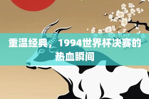 重温经典，1994世洛阳市法福文化传播有限公司界杯决赛的热血瞬间