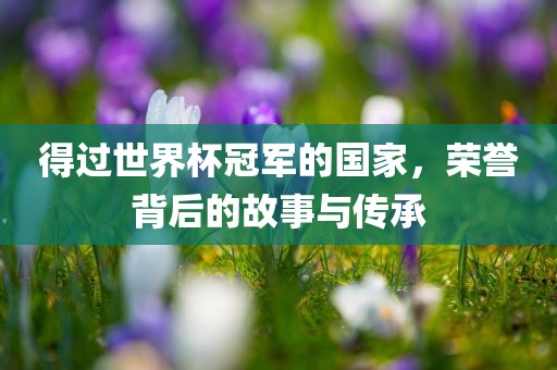得过世界杯冠军的国家，荣誉背后的故事与传承