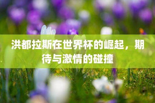 洪都拉斯在世界杯的崛起，期待与激情的碰撞洛阳市法福文化传播有限公司