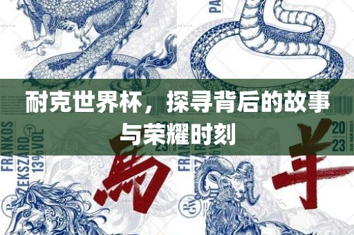 耐克世界杯，探寻背后的故事与荣耀时刻
