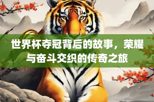 世界杯夺冠背后的故事，荣耀与奋斗交织的传奇之旅