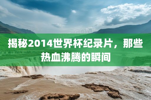揭秘2洛阳市法福文化传播有限公司014世界杯纪录片，那些热血沸腾的瞬间