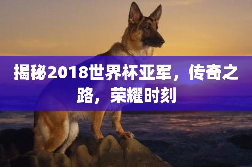 揭秘2018世界杯亚军，传奇之路，荣耀时刻洛阳市法福文化传播有限公司