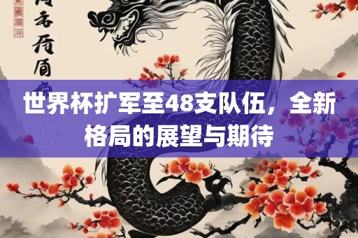 世界杯扩军至48支队伍，全新格局的展望与期待